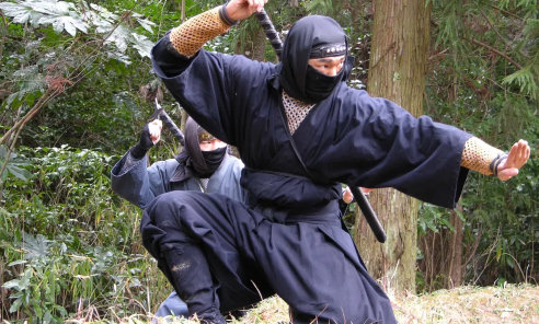 El ninja es un guerrero del SEO experto en infiltración para llevarse el trofeo